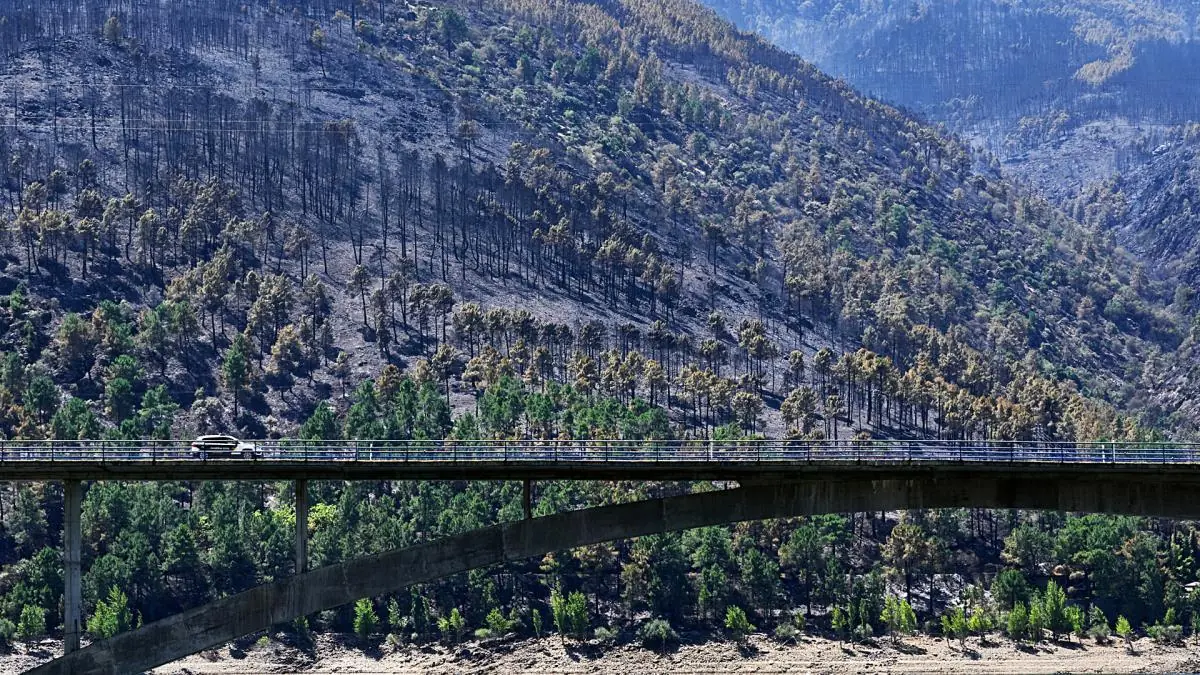 Más de 90.000 personas evacuadas y el fuego continúa reactivándose en la Comunidad de Madrid.