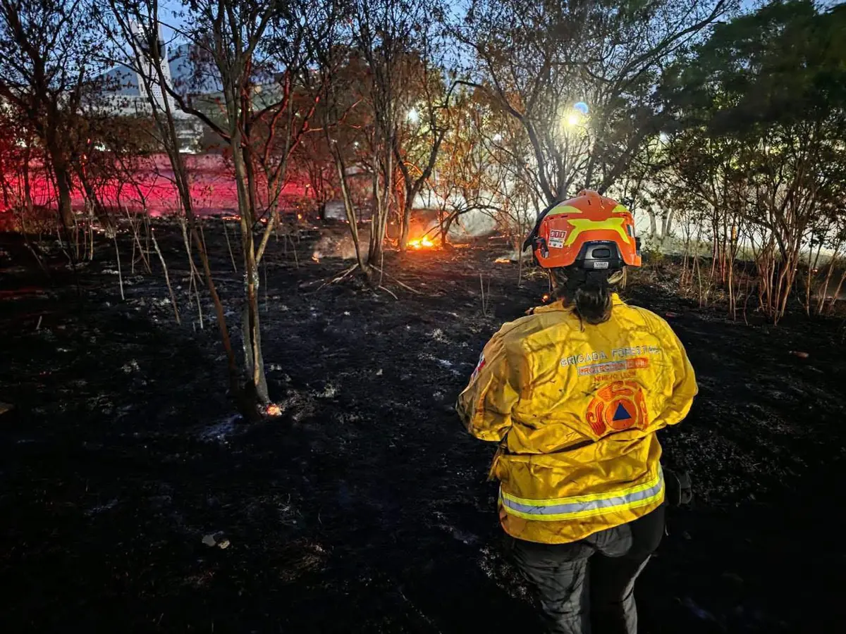 Acciones de prevención y protección del entorno son fundamentales para el bienestar en el estado.