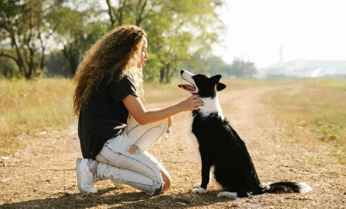 Los perros en Nuevo León pasan de ser meros guardianes a miembros integrales de las familias, reflejando un cambio cultural y legal.