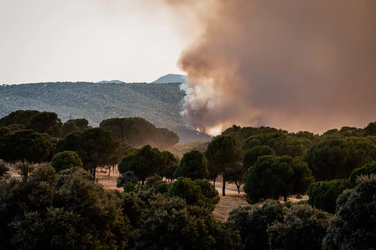 La Comunidad de Madrid pide control estatal por incendios en Villa del Prado y San Martín de Valdeiglesias.