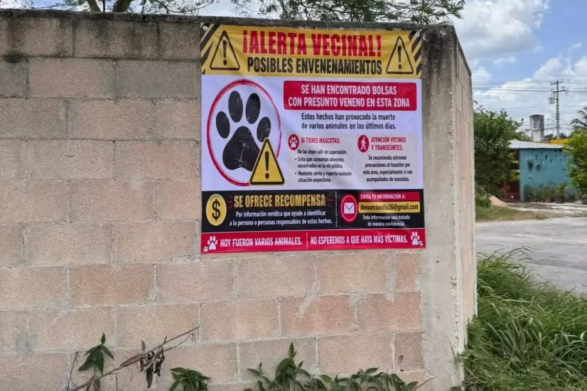 La iniciativa ciudadana busca mapear los puntos críticos y proteger a las mascotas y animales en situación de calle.