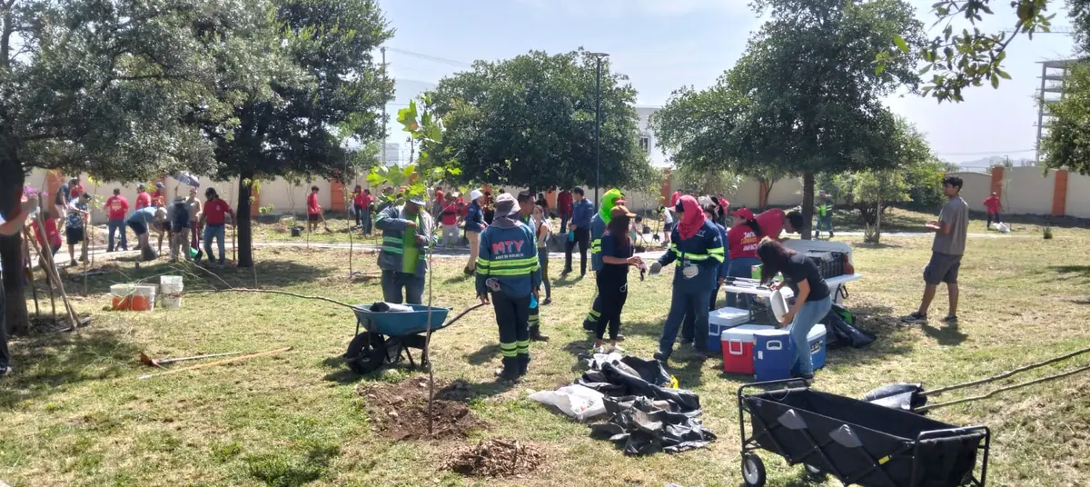 La jornada busca aumentar la vegetación y mitigar el efecto de isla de calor en la ciudad.