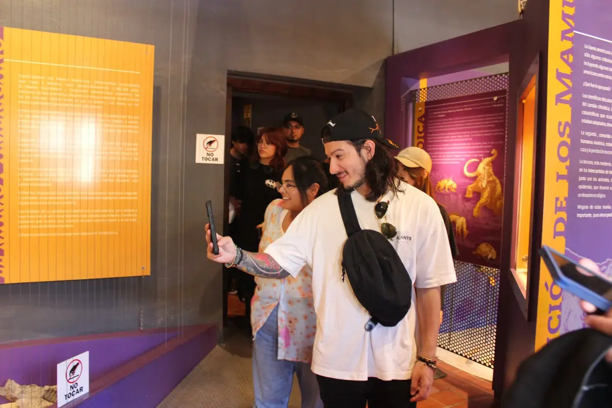 La nueva plataforma busca acercar el arte a un público más amplio y asegurar la sostenibilidad del museo.
