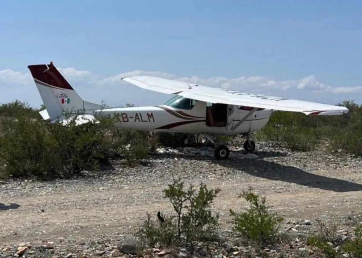 Un Cessna Grand Caravan EX sufrió un paro de motor relacionado con fauna.