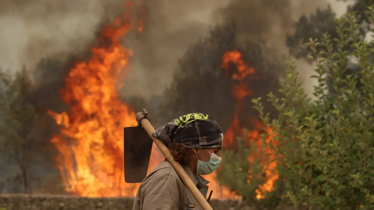 La evolución del incendio en Burgohondo genera expectativas de control mientras se preparan estrategias de recuperación.