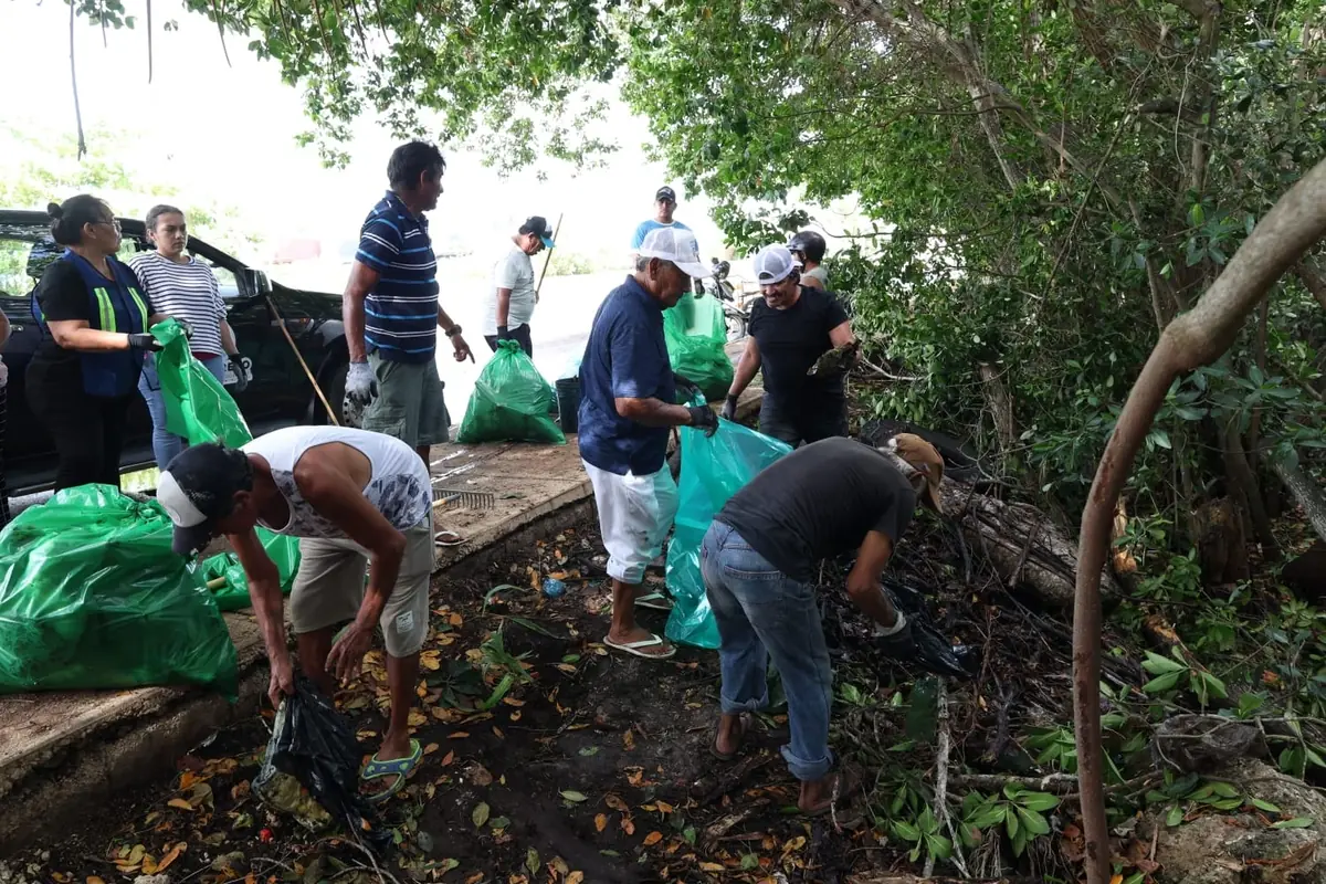 El Programa Municipal busca cuidar el medio ambiente y fortalecer ecosistemas importantes.