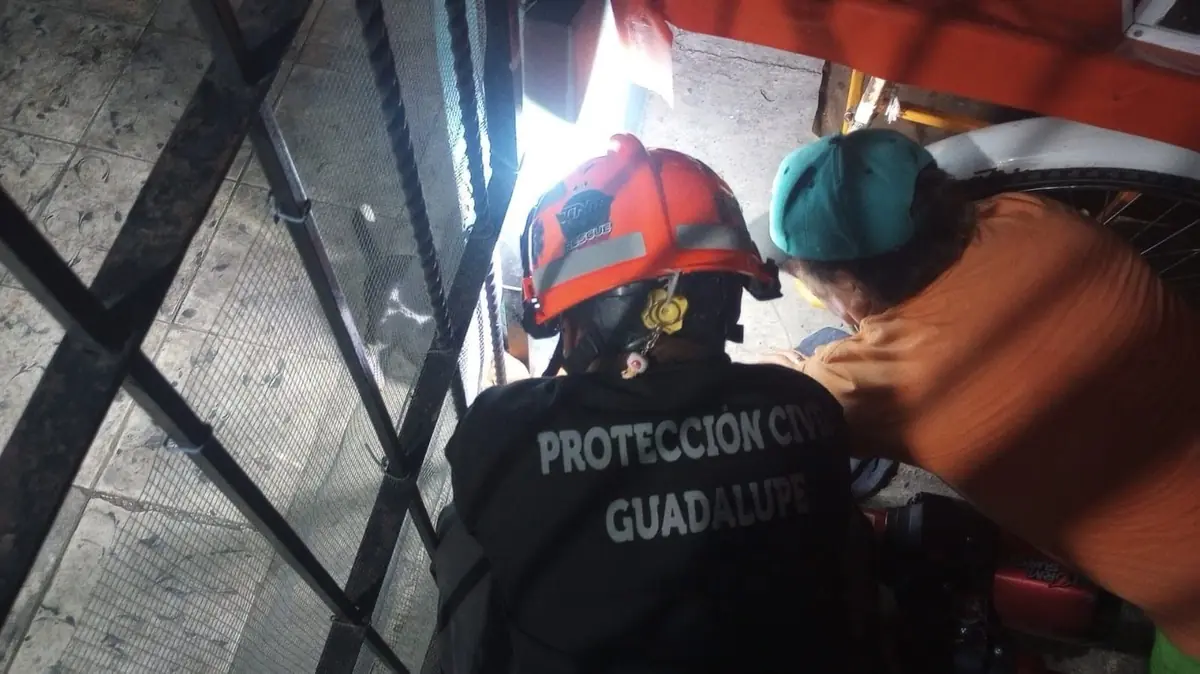 Un grupo de rescatistas mostró su compromiso al salvar la vida de un canino en situación de riesgo.