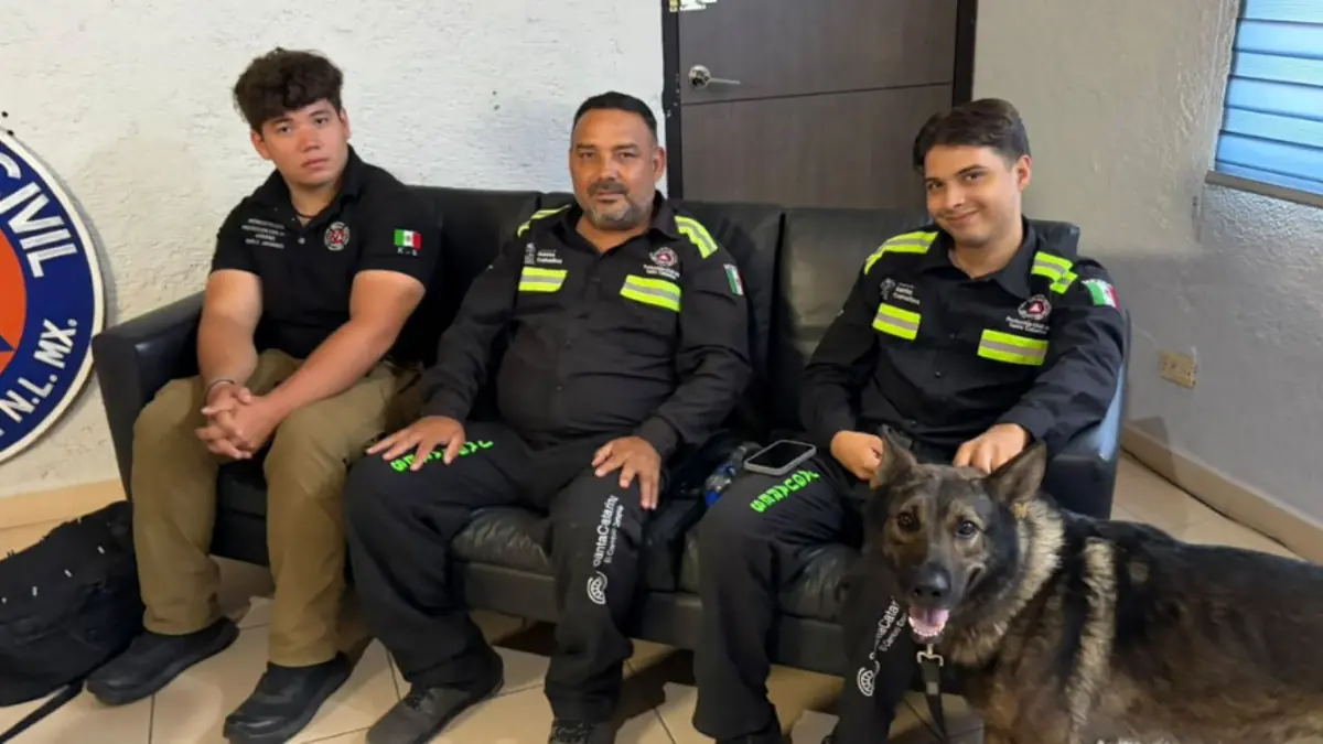 Tres binomios K9 regresan tras rescatar víctimas de sismos en Venezuela, mostrando la dedicación del equipo de Protección Civil.