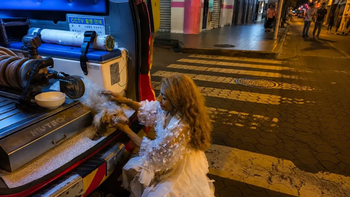 Bomberos lograron salvar a dos perros y tres gatos en la emergencia.