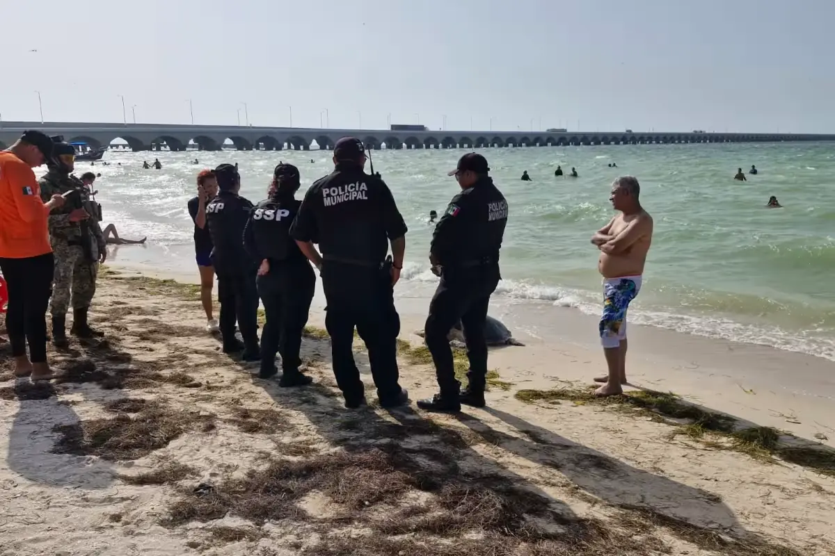 Autoridades investigan las causas de la muerte del quelonio en plena temporada de anidación.