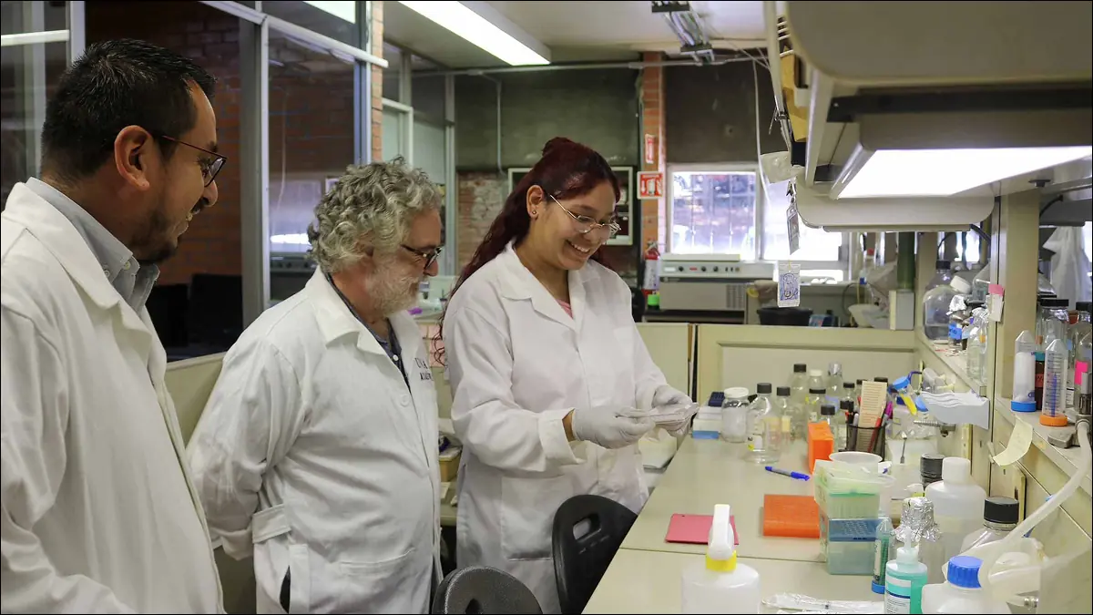 La Universidad Nacional Autónoma de México enfrenta críticas tras el examen de admisión en línea y alto índice de rechazos.